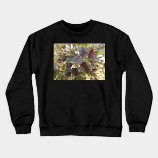 Digital Nature Crewneck Sweatshirt